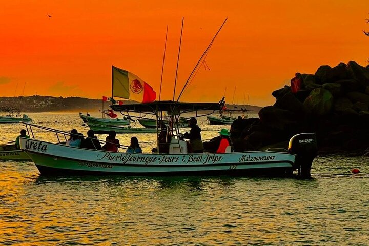 Dolphin and Whale Watching Boat Trip in Puerto Escondido