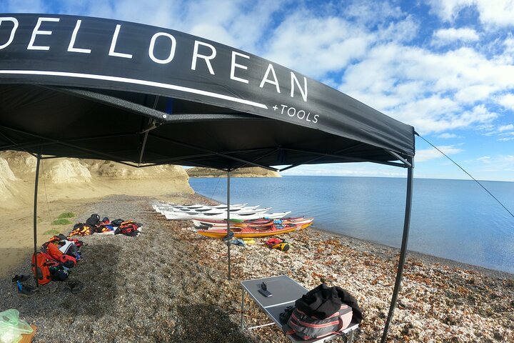 Kayak Paddling Experience with Sea Lions in Puerto Madryn