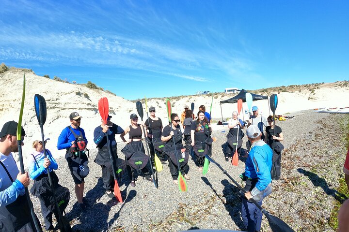 Kayak Paddling Experience with Sea Lions in Puerto Madryn