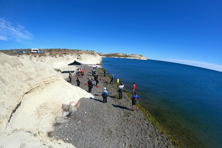 Kayak Paddling Experience with Sea Lions in Puerto Madryn