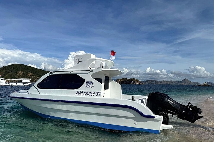 Komodo Adventure in a Day 6 Stunning Spots with Mac Cruise