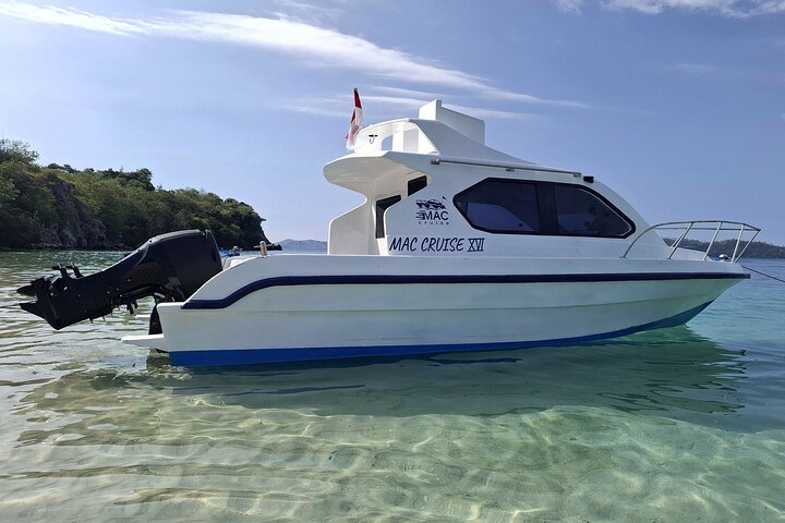 Komodo Adventure in a Day 6 Stunning Spots with Mac Cruise