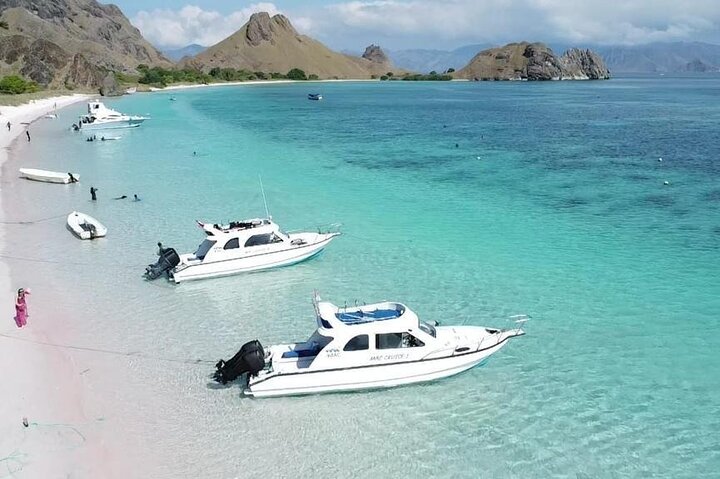 Komodo Adventure in a Day 6 Stunning Spots with Mac Cruise