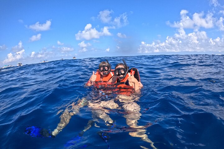 Private Whale Shark Adventure in Isla Mujeres and Cancun