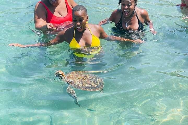 All West Beach Hopping Curacao