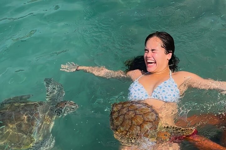 All West Beach Hopping Curacao