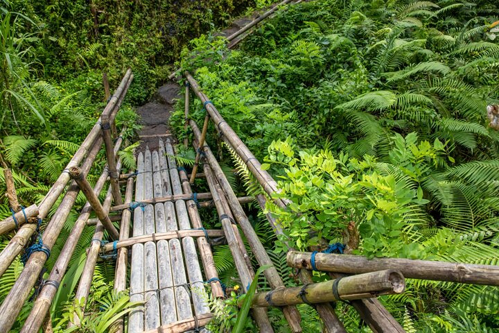 10 Days Of Private Meghalaya and Assam Experience
