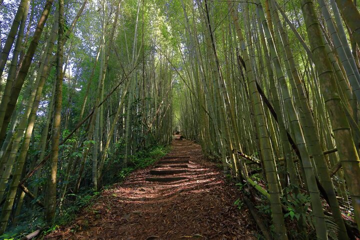 10 Days Of Private Meghalaya and Assam Experience