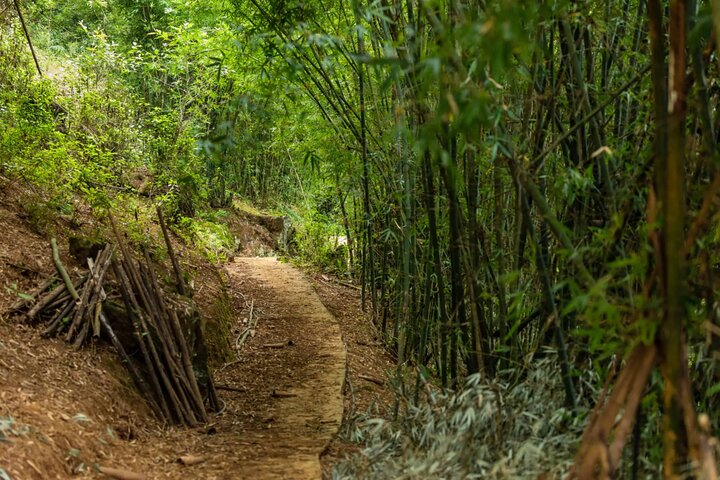 10 Days Of Private Meghalaya and Assam Experience