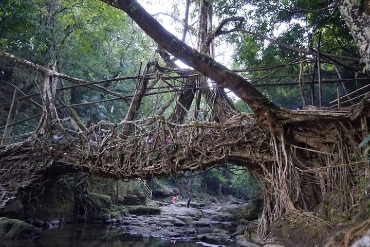 10 Days Of Private Meghalaya and Assam Experience
