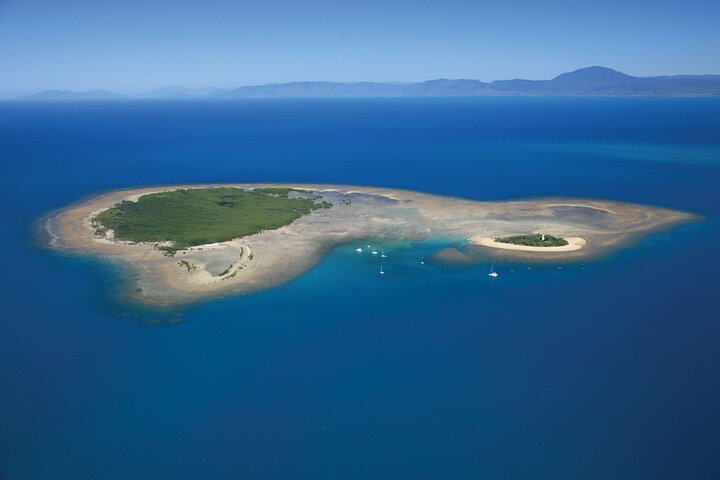 Afternoon Low Isles Snorkelling & Sunset Sail from Port Douglas