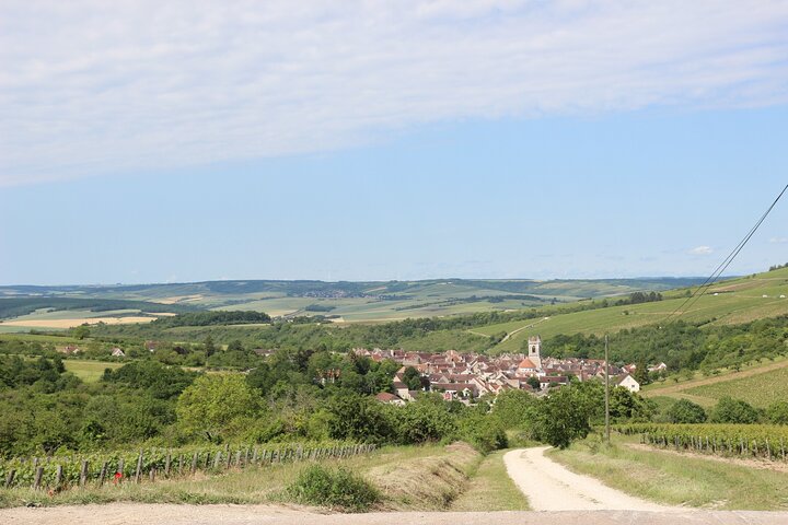 Chablis & Northern Burgundy Wine Tour