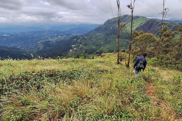 Green Magic Day Tour to Munnar