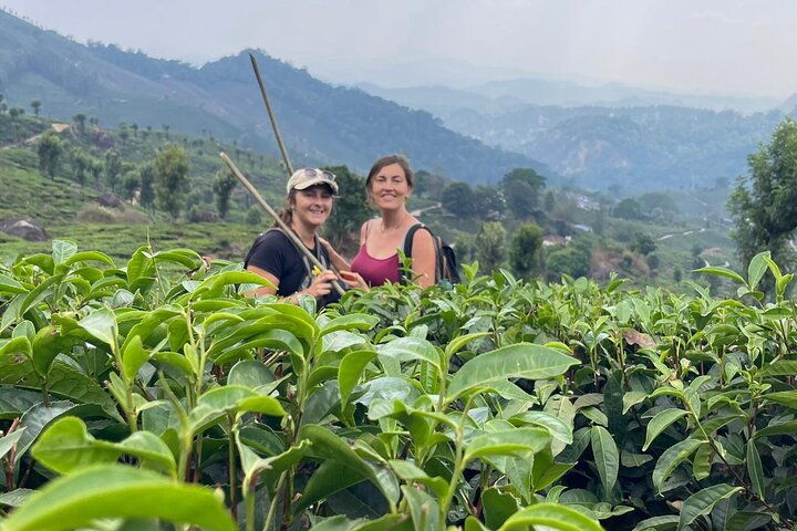 Green Magic Day Tour to Munnar
