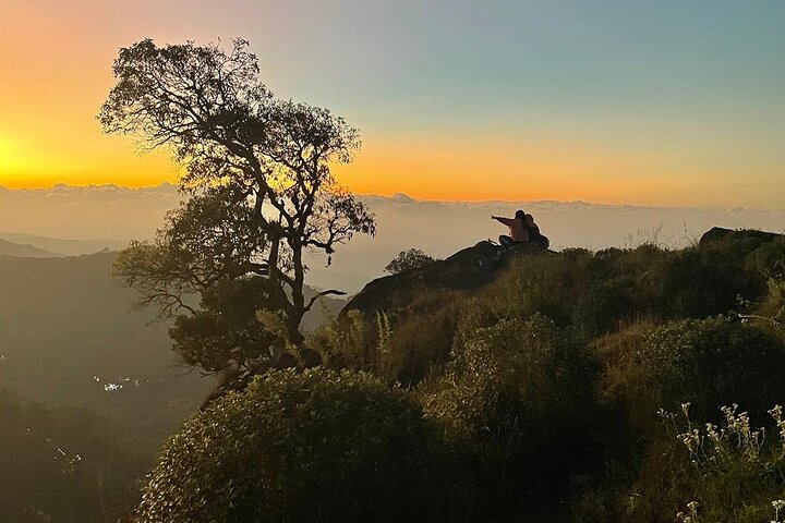Green Magic Day Tour to Munnar