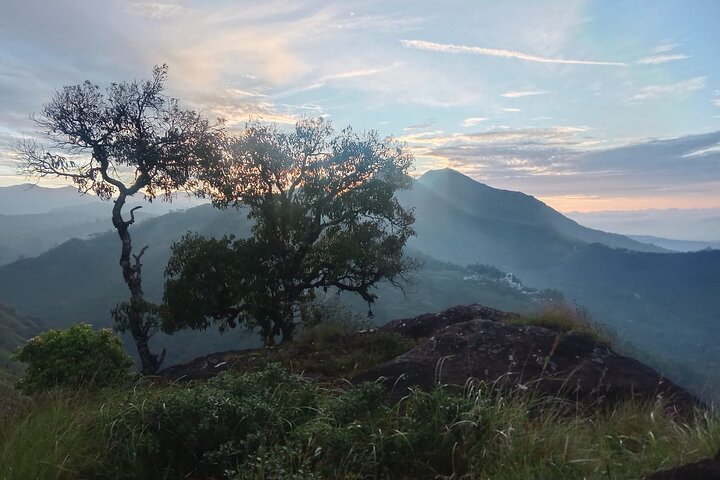 Green Magic Day Tour to Munnar