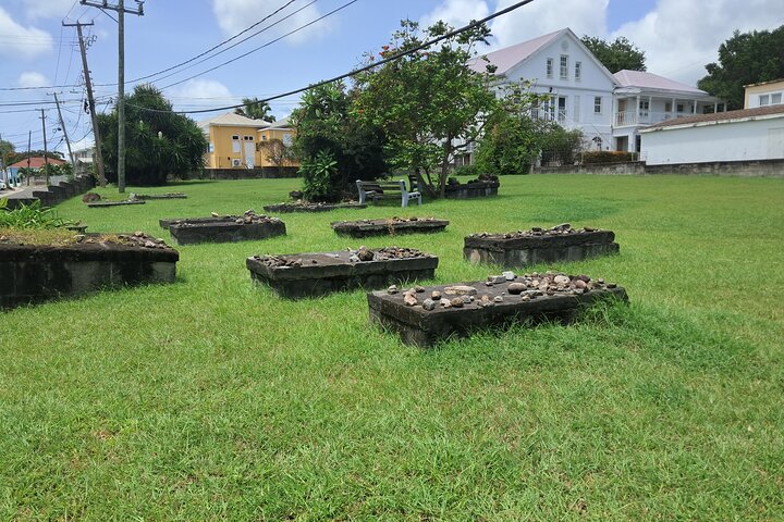 Nevis Island Historical Private Tour