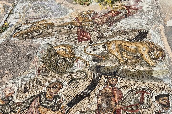 Dougga & Bulla Regia Private Tour – Discover Roman Treasures