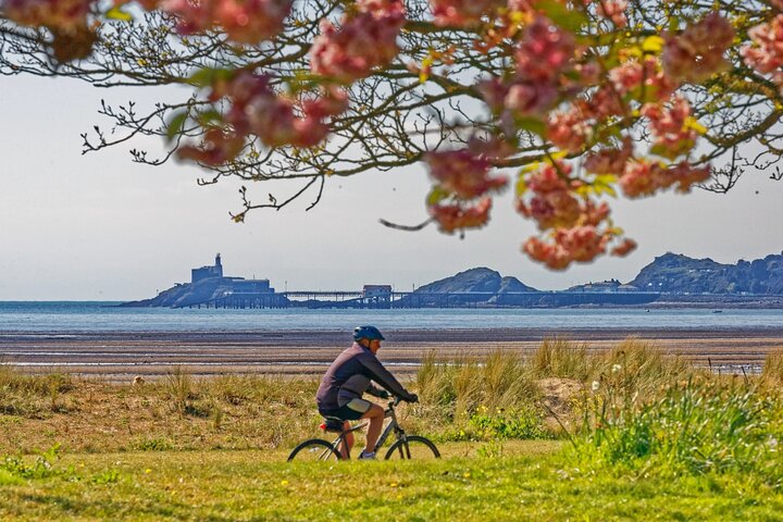 Cardiff: Gower Peninsula's Cliffs & Mumbles Scenic Day Tour