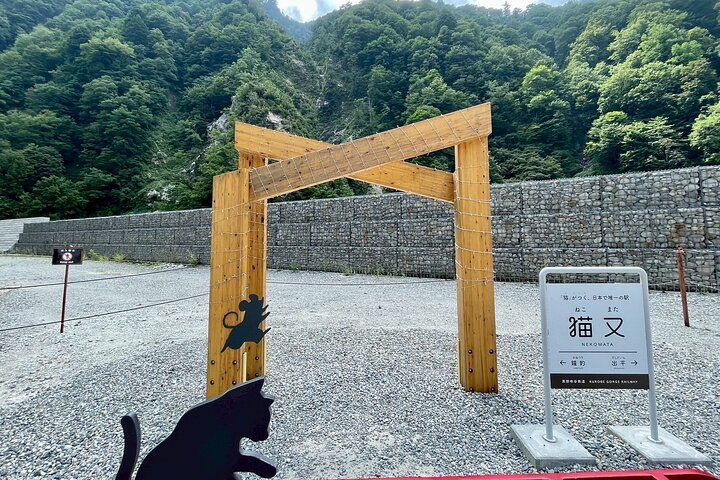 Kurobe Gorge Railway Private Tour