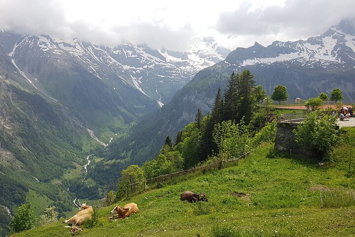 Lauterbrunnen-Mürren: Swiss Alps Small Group Tour from Bern