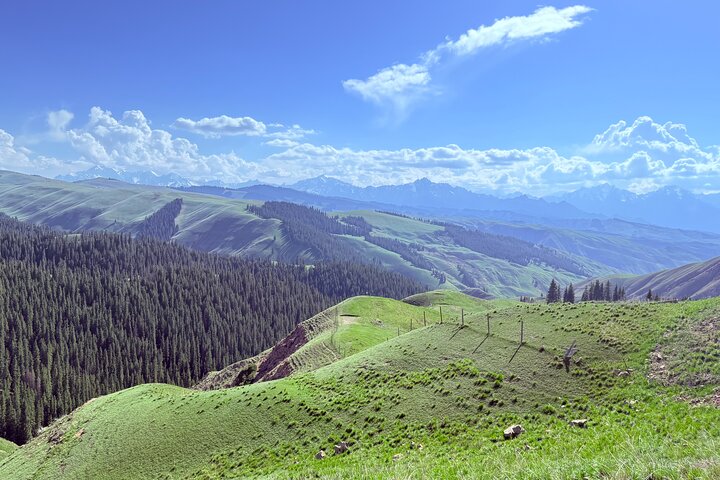 Private Day Tour to Nanshan Pasture and Tianshan Grand Canyon