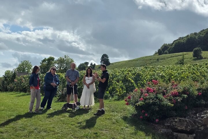Epernay South Half Day Visit and Champagne Tastings
