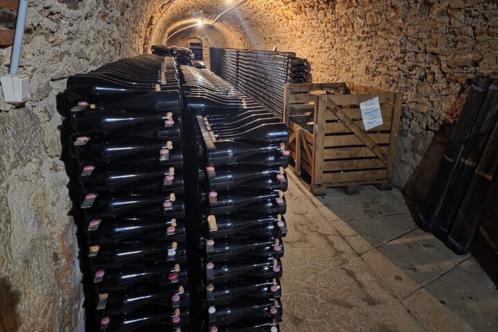 Epernay South Half Day Visit and Champagne Tastings