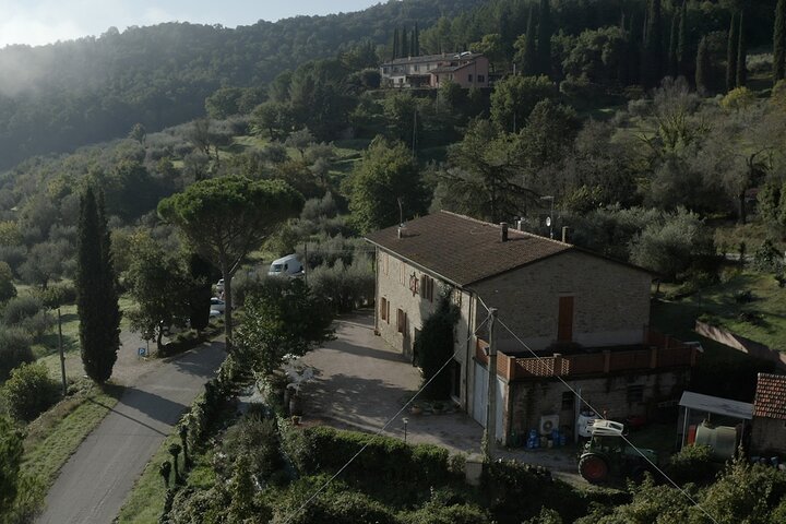 Winery Tour & Tasting near Lake Trasimeno & Perugia