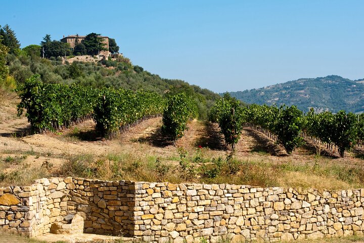 Winery Tour & Tasting near Lake Trasimeno & Perugia