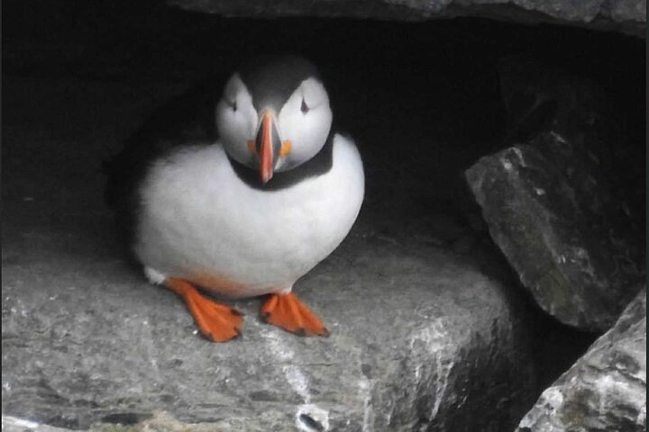 Semi Private Tour - Orkney and Kirkwall