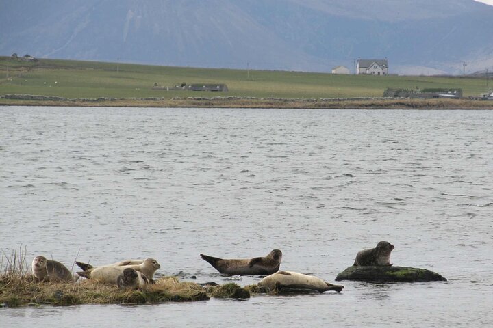 Semi Private Tour - Orkney and Kirkwall