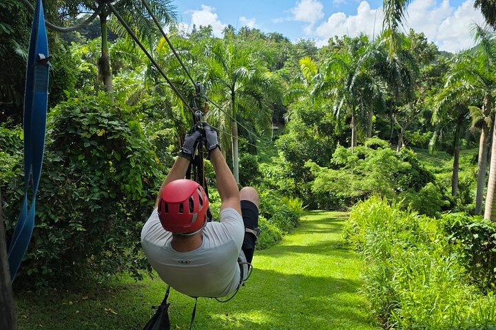 El Yunque Ziplining in Puerto Rico