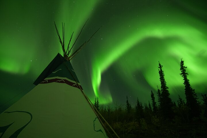 Arctic Day: Aurora Viewing Tour | late night