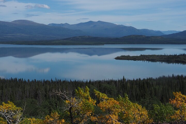 Arctic Day: Kluane National Park Tour | full day