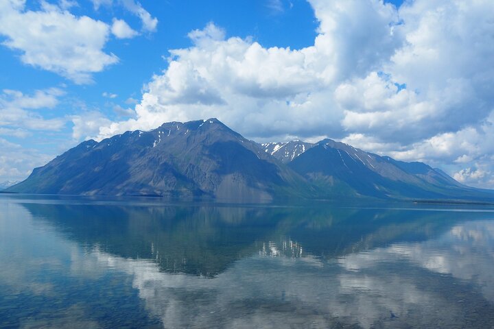 Arctic Day: Kluane National Park Tour | full day
