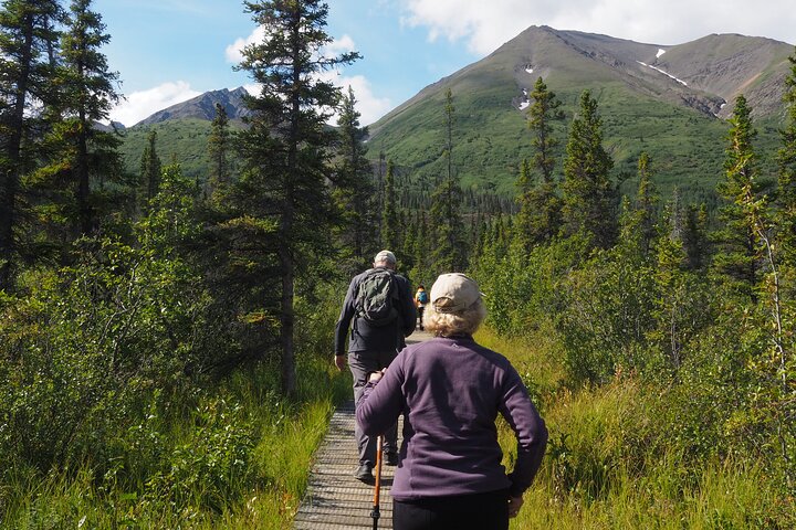 Arctic Day: Kluane National Park Tour | full day