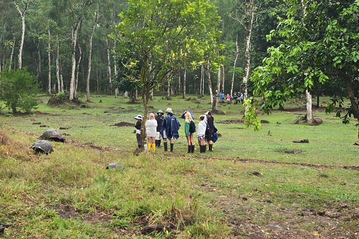Full Day Santa Cruz Rancho and Lava Tunnels Tour of Bahia