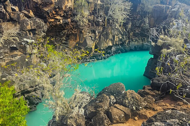 Full Day Santa Cruz Rancho and Lava Tunnels Tour of Bahia