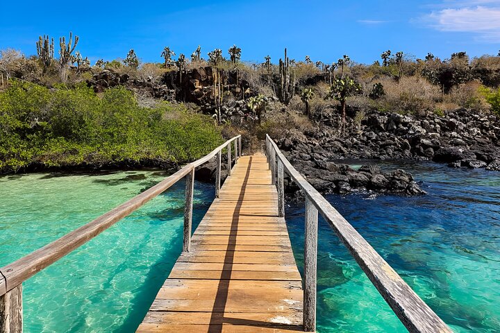 Full Day Santa Cruz Rancho and Lava Tunnels Tour of Bahia