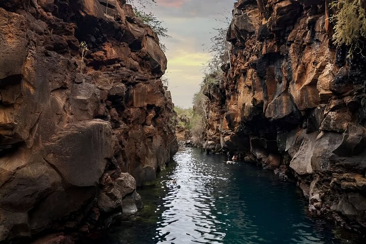 Full Day Santa Cruz Rancho and Lava Tunnels Tour of Bahia