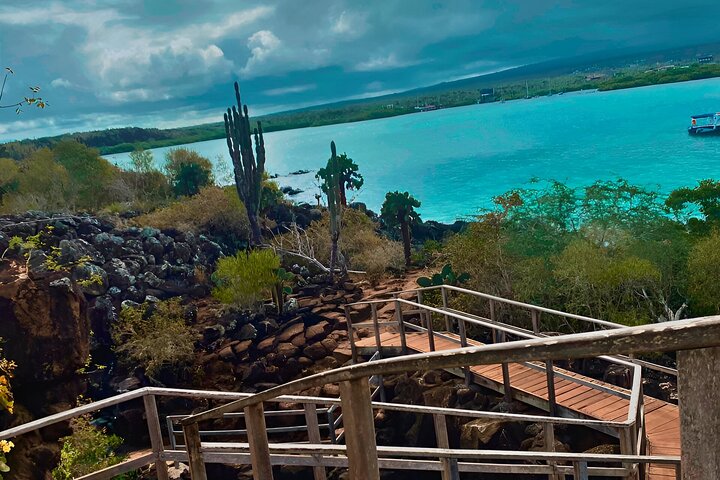 Full Day Santa Cruz Rancho and Lava Tunnels Tour of Bahia