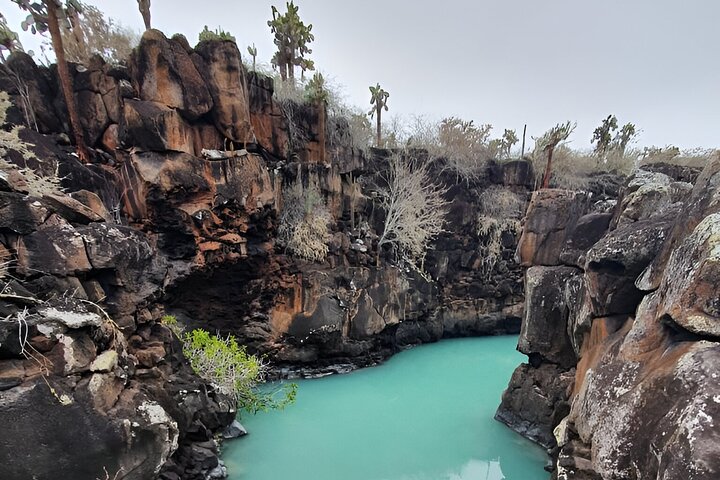 Full Day Santa Cruz Rancho and Lava Tunnels Tour of Bahia
