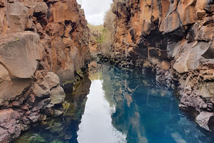 Full Day Santa Cruz Rancho and Lava Tunnels Tour of Bahia