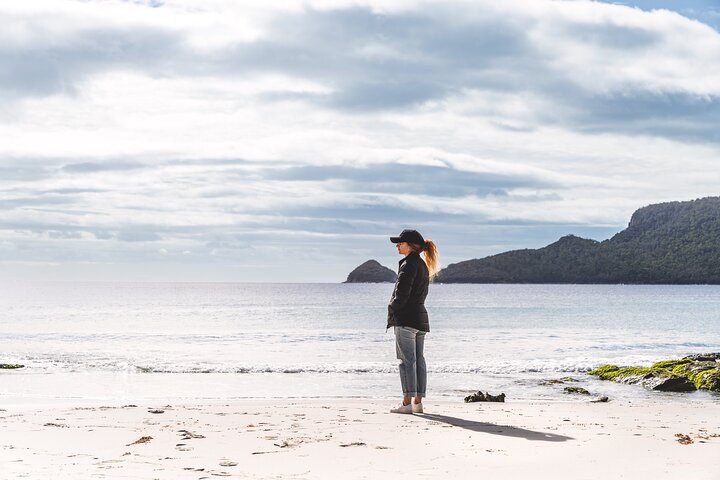 All Inclusive Bruny Island Day Tour Plus Guided Lighthouse Tour