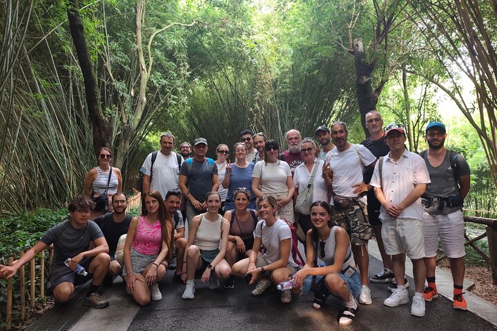 Chengdu: Panda Base Leshan Buddha Tour(or Half Day Panda Base )