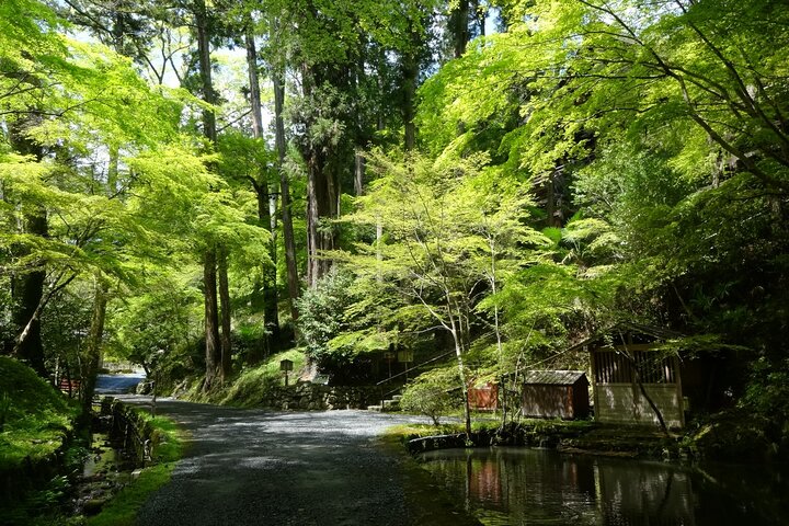 Otsu: Ishiyama-dera Sacred Stone Temple by Lake Biwa