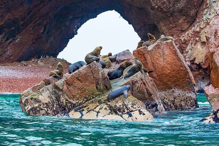 Lima to Paracas: Islands, Slave Tunnels & National Park in 1 day!