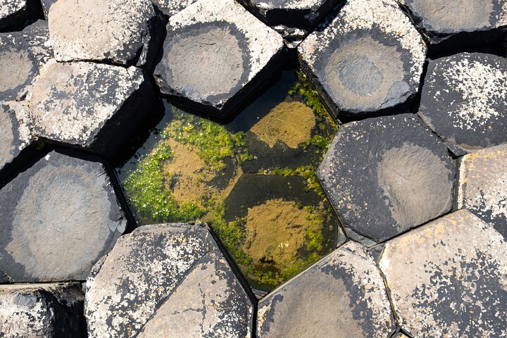 Dublin to Dunluce Castle, Giant's Causeway and Belfast Day Tour