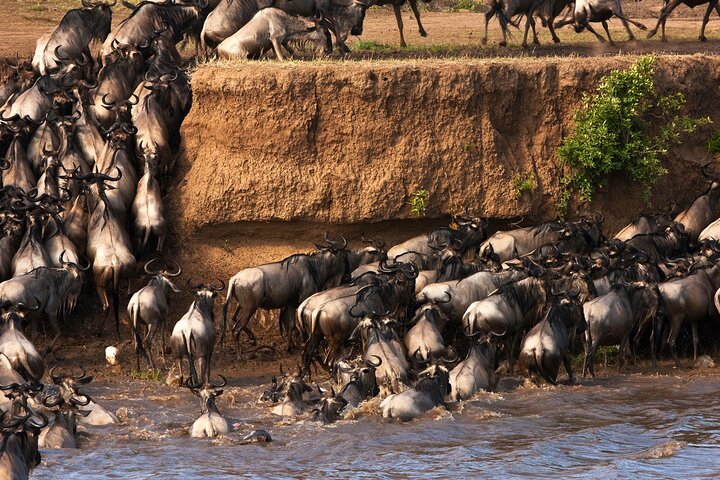 3 Days Adventure to Masai Mara National Reserve on a 4X4 Vehicle